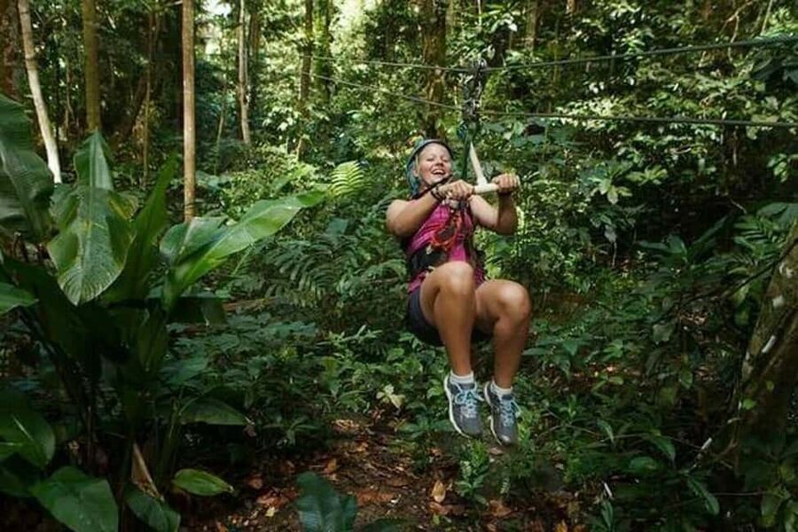 Babonneau/Castries: Rainforest Zip Line, Tram, and Hike Tour - A rainforest combo that keeps things moving for 4 hours