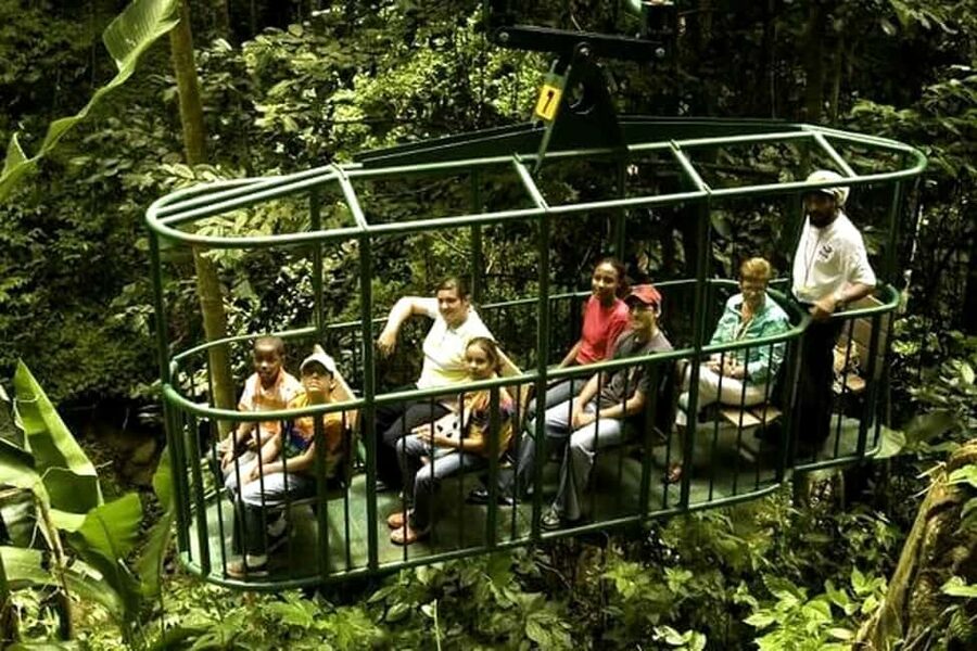 Babonneau/Castries: Rainforest Zip Line, Tram, and Hike Tour - The zip line course: what 9 platforms and 8 lines actually gives you