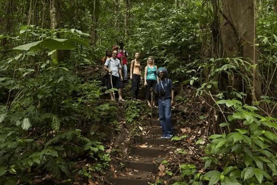 Babonneau/Castries: Rainforest Zip Line, Tram, and Hike Tour - Where the tour starts: Chassin Babonneau and what pickup really means