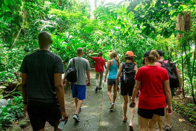 Best of Both Worlds Land and Sea Adventure - Marigot Bay cruise by boat: snorkeling, swimming, and dolphin luck