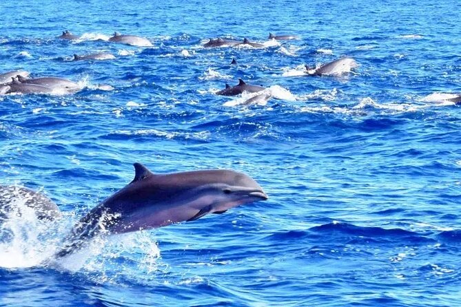 Best Of Full-Day Snorkeling & Beach Excursion with lunch & drinks - Lunch, Drinks, and That Cooler-by-Your-Seat Convenience
