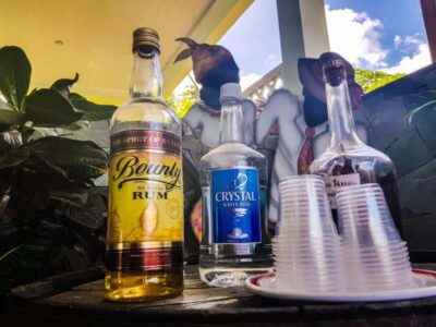 Guided Rum Distillery Tour with Tasting