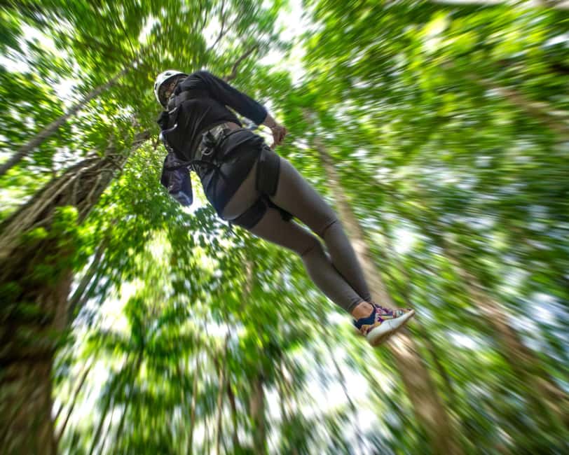 Castries, St. Lucia - Adrenaline Zipline - Rainforest Adventures at 2,000 Feet: What Makes This Run Different