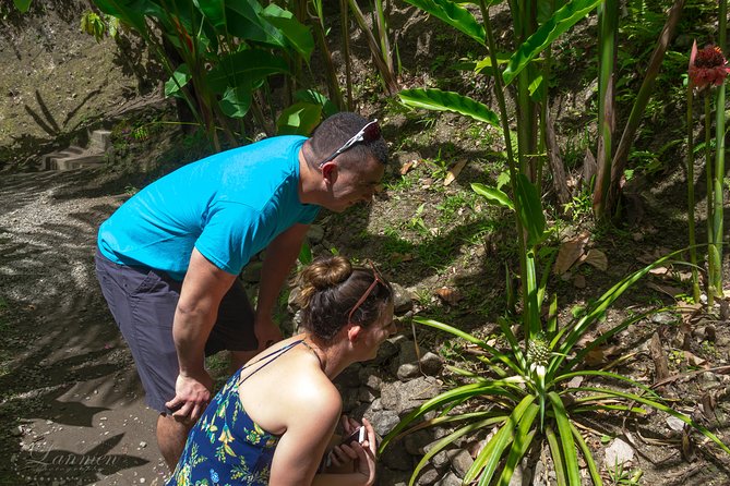 Couples Private St. Lucia Highlights Tour - La Soufriere drive-in volcano: the hot mineral soak from the crater