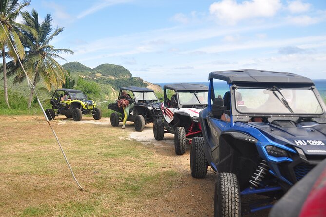Drive and Fly - Buggy and Zipline - Rodney Bay jungle to Treetop Adventure Park, why this tour clicks
