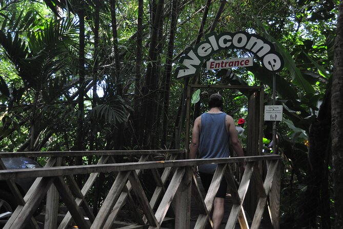 Drive and Fly - Buggy and Zipline - The 12-zipline adventure, what you really get out of the course