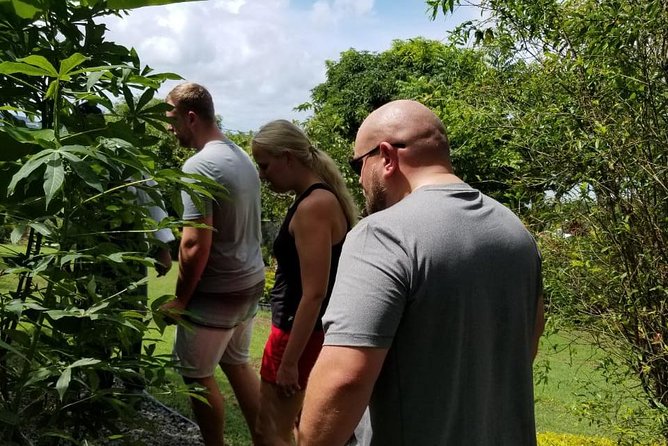 Essence of St Lucia Heritage Experience - Guide Styles Matter: When You Get William, Sherwin, Cion, or Sylvia