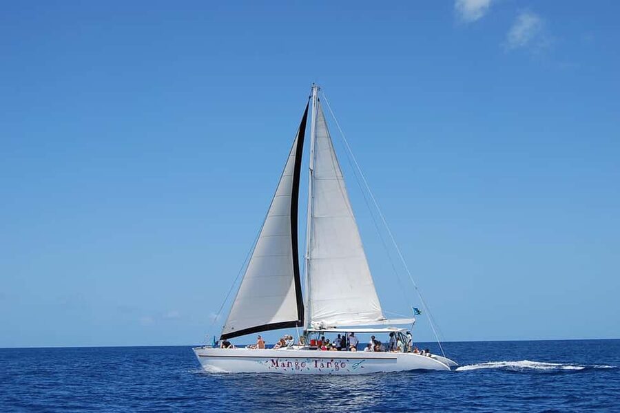 From Castries: Full-Day Catamaran Tour to Soufriere - Soufrière Quarter: town time, views, and a better sense of the island