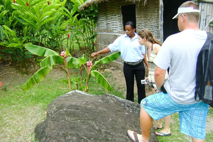 From Castries: Full-Day Catamaran Tour to Soufriere - Cruising past the Pitons and enjoying that West Coast rhythm