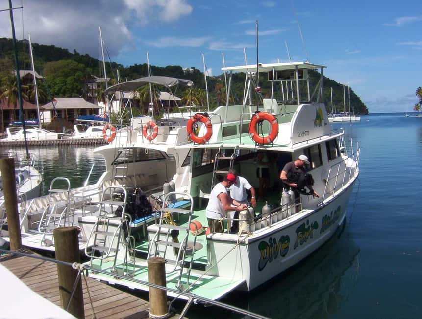 From Castries: St. Lucia Scuba Diving Excursion - Price and logistics that actually affect your day