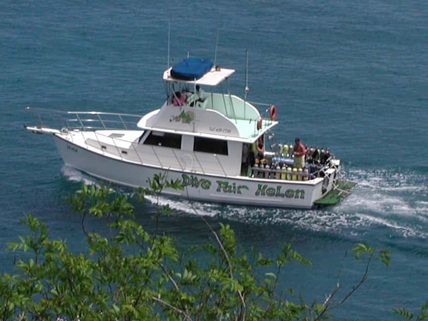 From Castries: St. Lucia Scuba Diving Excursion - Two tank sessions: what you will actually see underwater