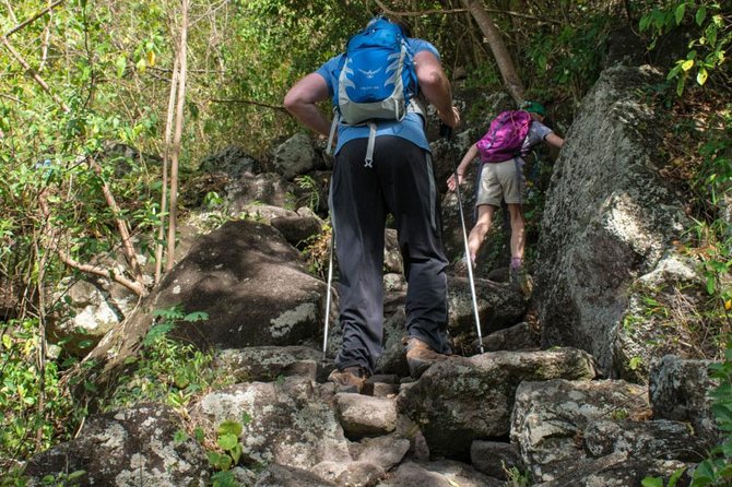 Gros Piton Hike - Guides and pacing: why local support changes everything