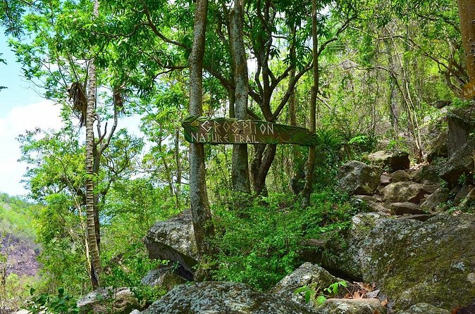 Gros Piton Hike St Lucia - Entering the Gros Piton Nature Trail With a Real Guide