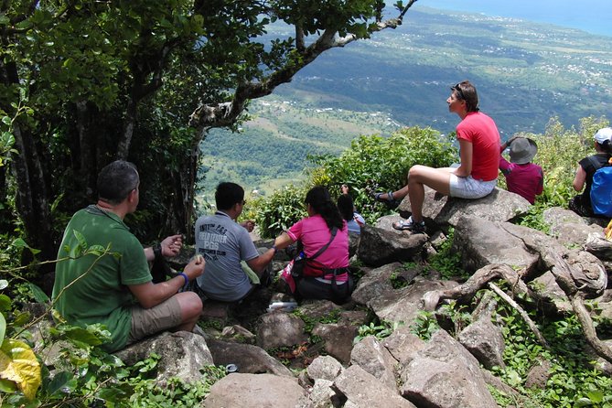 Gros Piton Hiking Adventure - Gros Piton Nature Trail: From Moderate Base Walk to Strenuous Upper Climb