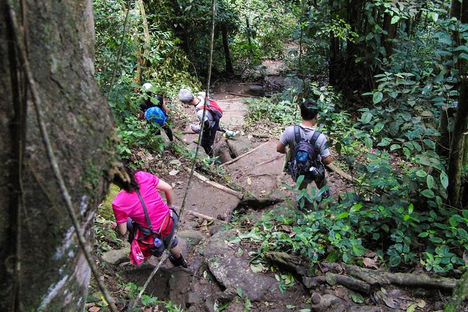Gros Piton Hiking Adventure - Fond Gens Libre Interpreter Center, Birds, and Plant Clues Before You Climb