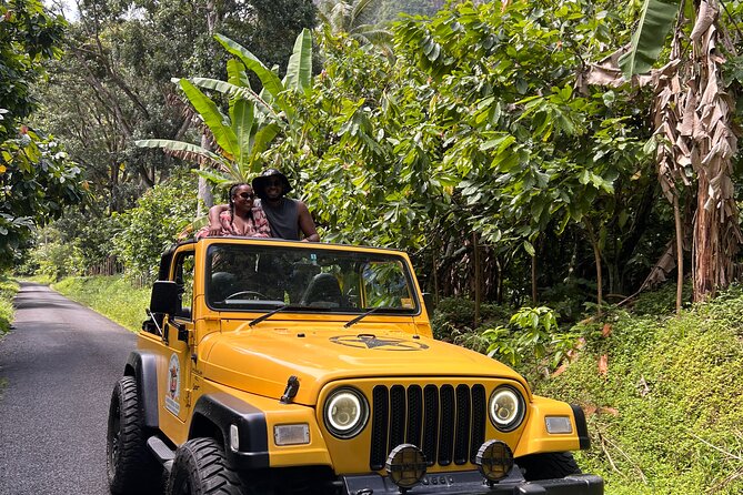Half Day Private Tour in St. Lucia Jeep Wrangler - Key highlights you should know before you go