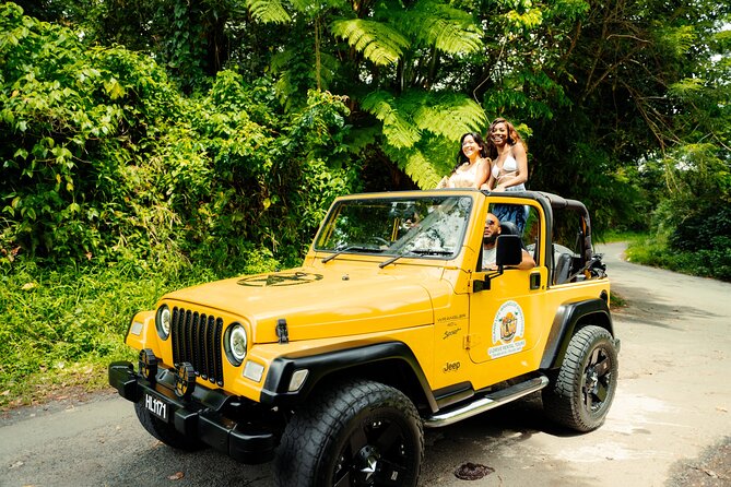Half Day Private Tour in St. Lucia Jeep Wrangler - The open-top Jeep advantage: 360 views and off-road comfort
