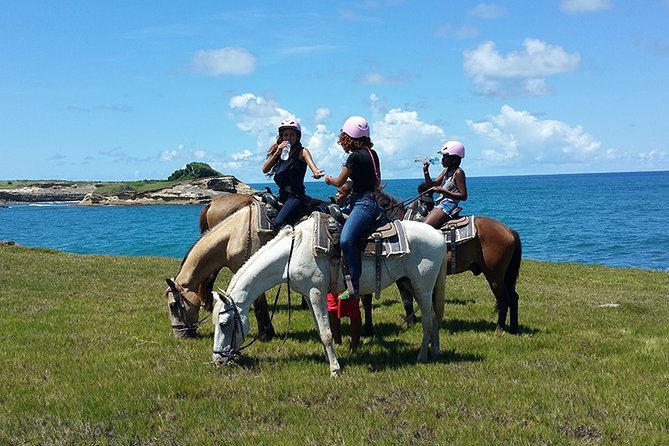 Horseback Riding Adventure Tour in St. Lucia - Key things you should know before you go