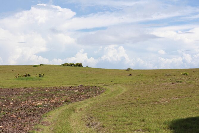 Horseback Riding Adventure Tour in St. Lucia - Beach Riding Options: Canter, Wet Sand, and a Real Sense of Freedom