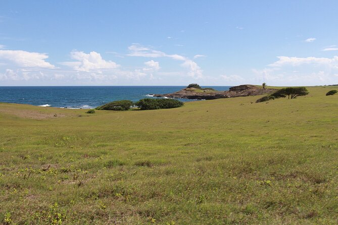 Horseback Riding Adventure Tour in St. Lucia - Private Group Comfort: Pacing That Works for Real People