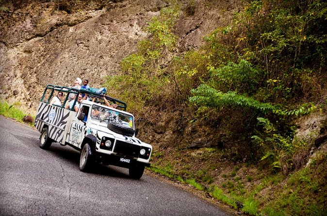 Jeep & Zip Safari St. Lucia From Castries - Price and value for a 4.5-hour St. Lucia outdoor circuit