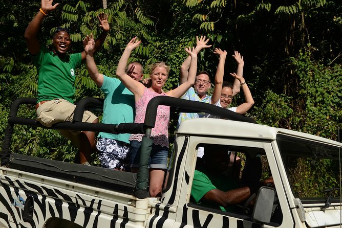 Jeep & Zip Safari St. Lucia From Castries - Treetop Adventure Park: ziplining in the treetops for about an hour