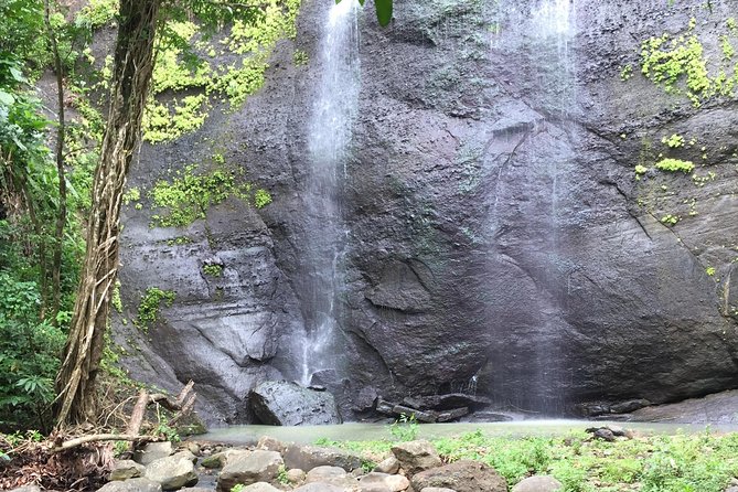 Jeep & Zipline Adventure in St. Lucia - Jeep and Zipline in St. Lucia: what this day feels like