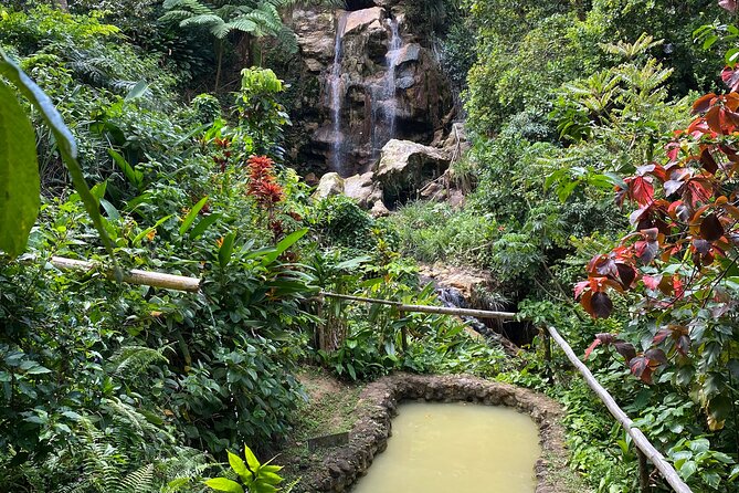 LUNCH INCLUSIVE Mud Baths, Waterfall & Tet Paul Nature Trail - Piton Falls and Malgretoute Baths: Warm Water, Short Walk, Big Mood