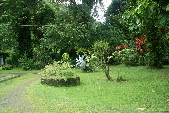 Magical Soufriere: A Tour of St Lucia - How Much Driving Is Part of the Deal, and When You Might Feel It