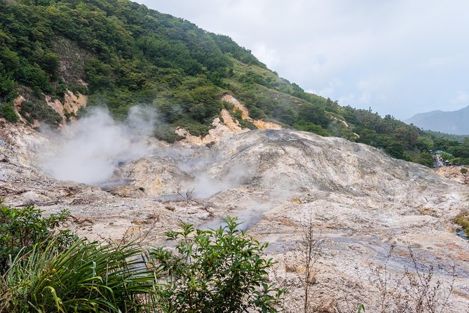 Magical Soufriere: A Tour of St Lucia - North Island Pickup, Small Group Limits, and Cruise-Day Reality