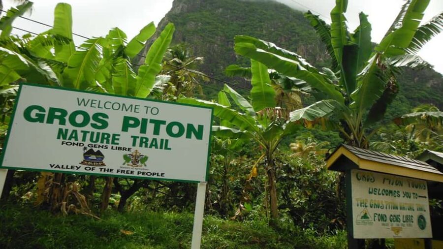 Majestic Gros Piton Hiking Day Trip - Entering Gros Piton country: a steep hike with real meaning