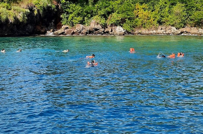 Mud bath and Waterfall with Snorkeling at Sugar beach - Who This Tour Suits Best (And Who Might Want Something Different)