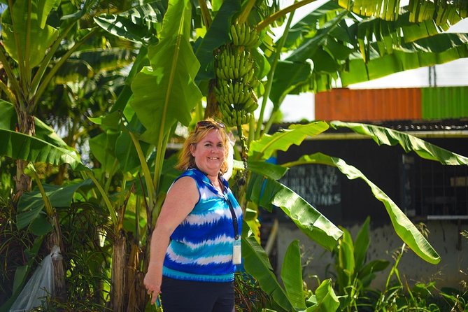 Mudbaths, Waterfall & Botanical Gardens Tour - All Inclusive - Drive-in sulfur springs: the Caribbean volcano experience