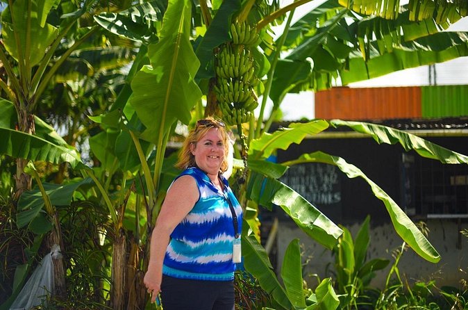 Mudbaths, Waterfall & Botanical Gardens Tour - All Inclusive - Toraille Waterfall, Power Shower style: cool water and quick fun