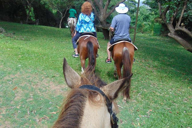 Nature & Historical Horseback Riding Tours St. Lucia - Coconut Water, Fruit Samples, and the Fun Parts of Local History