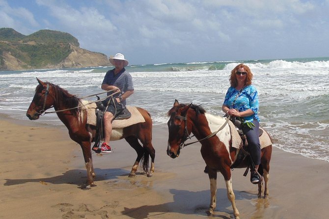 Nature & Historical Horseback Riding Tours St. Lucia - What Can Go Wrong, and How to Plan Like a Pro