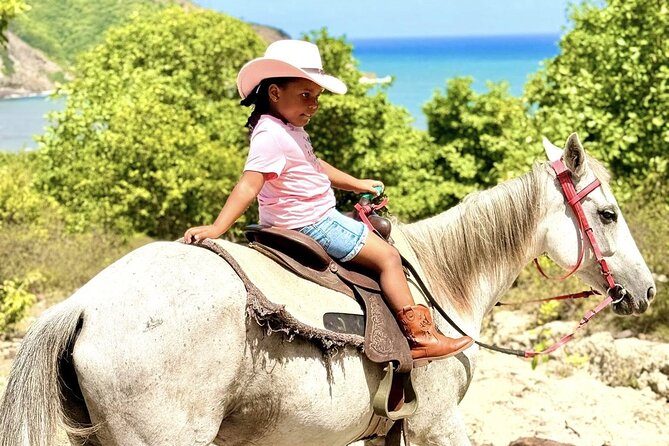Nature & Historical Horseback Riding Tours St. Lucia - Getting There From Cap Estate and Cruise Ports: The Drive Sets the Mood