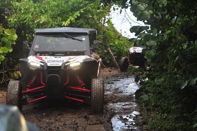 Northern Sights - Buggy in the North - Key highlights worth planning around
