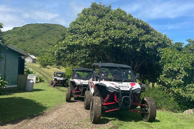 Northern Sights - Buggy in the North - Gros Islet start: a quick jump into the northern vibe