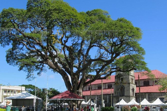 Private Castries or Shopping Tour/Transfers - Turning transport into a flexible Castries day