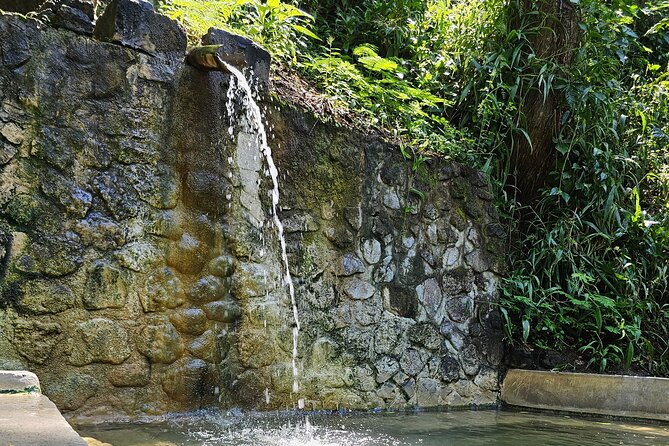 Private Island Tour St. Lucia - Anse La Raye Fish Fry Friday Energy and Canaries Chocolate Time