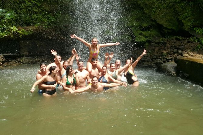 Private Soufriere Experience Tour - Diamond Falls Botanical Gardens: a cooler, greener stretch