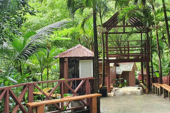 Private Tour of Sulphur Spring and Toraile Waterfall in Soufriere - Stop 2 at Toraille Waterfall: cool down in the natural pool