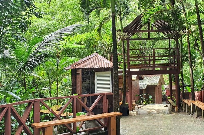 Private Tour of Sulphur Spring and Toraile Waterfall in Soufriere - What Augustus typically brings to the day