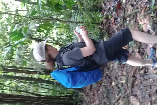 Rain forest and Bird watching - Rainforest flora and plant learning: more than a nature walk