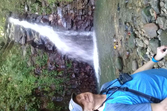 Rain forest and Bird watching - Group size, fitness level, and who this fits best