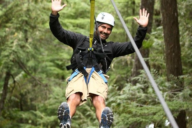Rainforest Canopy Adventure from Vieux Fort or North Island, St Lucia - Key highlights worth knowing