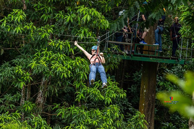 Rainforest Canopy Adventure from Vieux Fort or North Island, St Lucia - What You’ll See Between Zips: Canopy Views, Rivers, and Jungle Movement