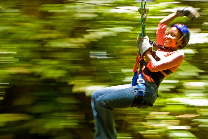 Rainforest Canopy Adventure from Vieux Fort or North Island, St Lucia - Entering the Zipline Circuit: 500 Feet of Cable and Real Height