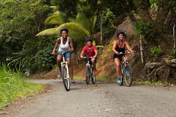 Rainforest Cycling Adventure in St. Lucia - Key Things To Know Before You Ride